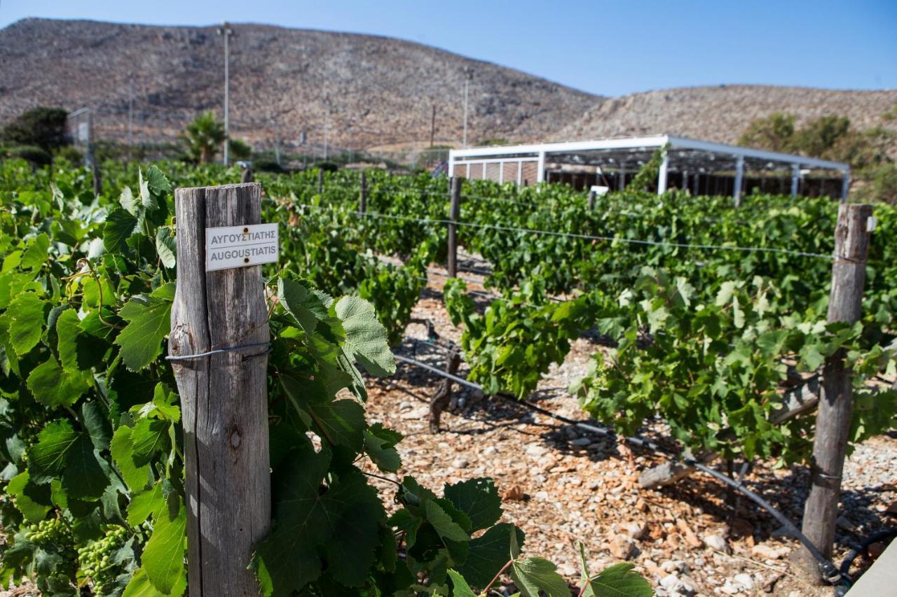 Hotel Anemi Folegandros Karavostasis (Folegandros)