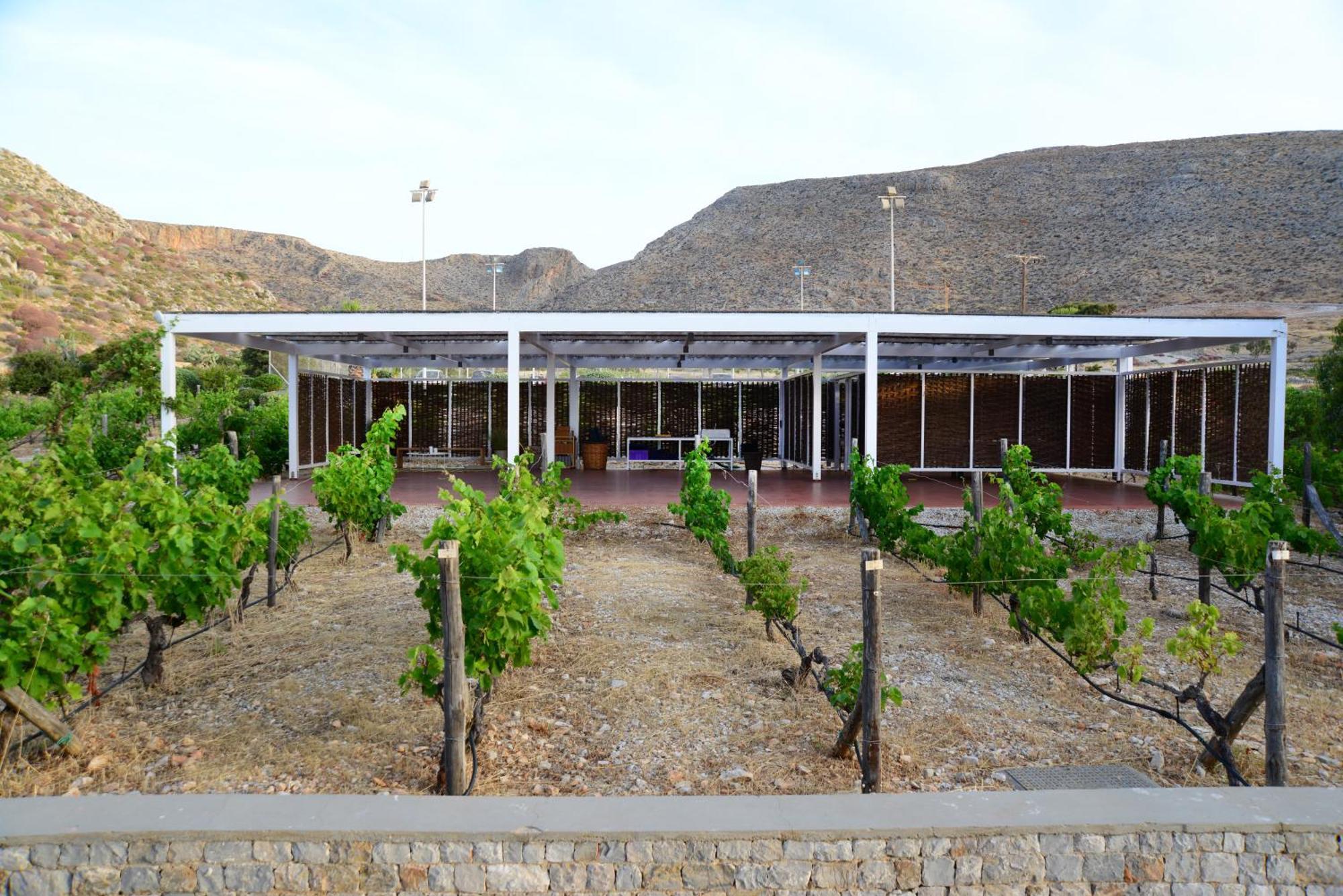 Anemi Folegandros Hotel 5*