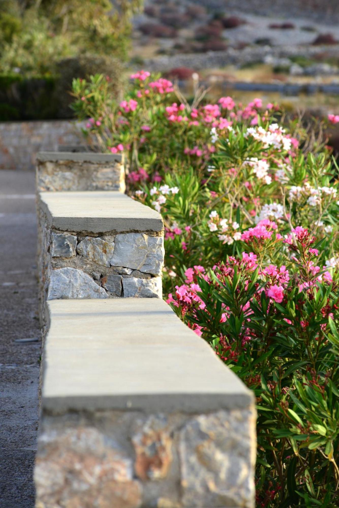 Anemi Folegandros Hotel Karavostasis (Folegandros)